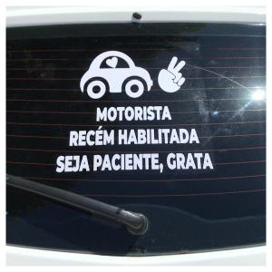 Adesivo Vidro Carro  Padrão    